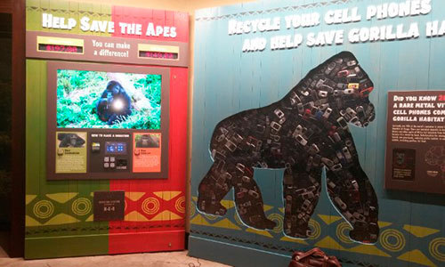 В Зоопарке Хьюстона установили киоск для сбора пожертвований обезьянам