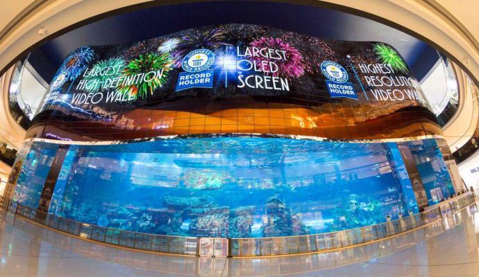 В торговом центре Дубая установили крупнейшую в мире OLED видеостену