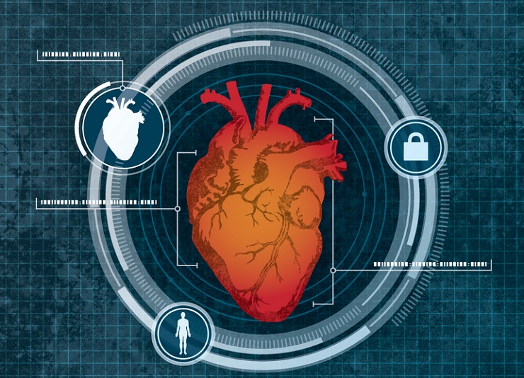 Американцы разработали новый тип биометрии на основе размеров сердца