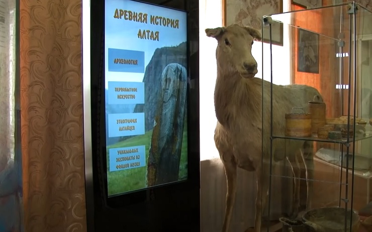 Интерактивные киоски появились в Бийском краеведческом музее