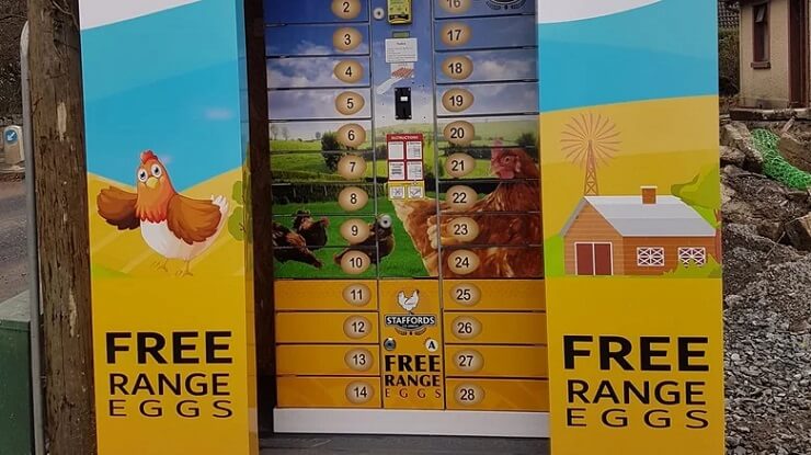 В Ирландии появились автоматы по продаже яиц