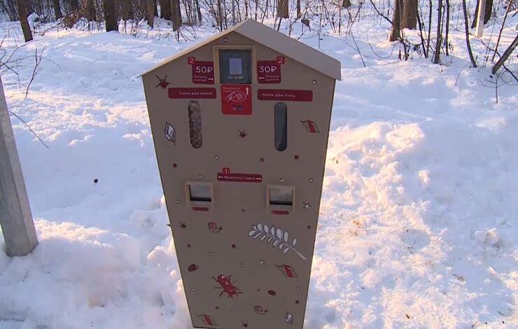 Вендинговые автоматы для владельцев собак появились в парках Казани