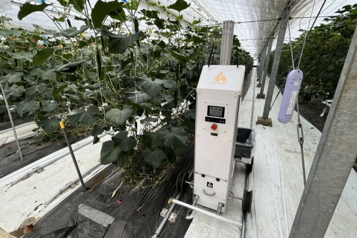 Японцы используют роботов с ИИ для сбора урожая огурцов 