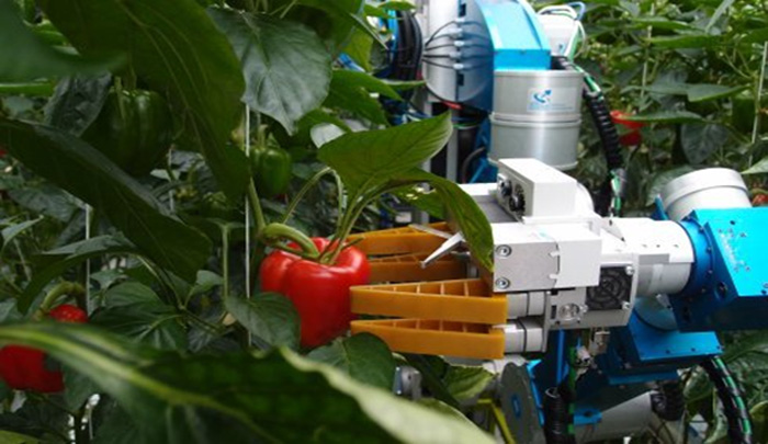Объем мирового рынка сельскохозяйственных роботов достигнет $74,1 млрд к 2024 году