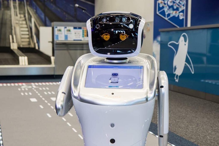 Мировой рынок сервисных роботов может достигнуть $22 млрд к 2024 году